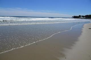 Nautilus Beach House - 5