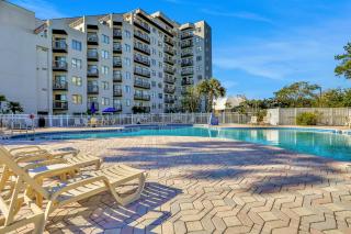 Dog-friendly condo with a kitchenette, AC, pools, hot tubs, tennis, & gym - 6