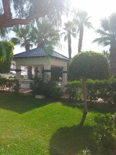 Holiday Spain Parquemar La Mata - 7