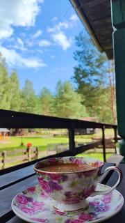 Domek u Rybaka na Mazurach z basenem - 5