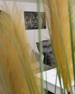 Grosse, helle Wohnung nähe Audi und Lidl IT - 9