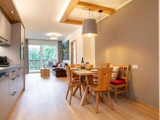 Apart33 Top 2-7 - Haus im Ennstal - 1