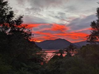 Absolute Tranquility - surrounded by native bush - 2