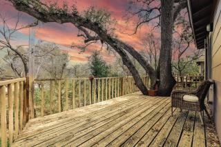 Historic UT Tree House, Walk to Moody Center - 0