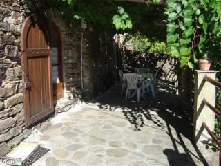 La treille a la teissonniere - 9