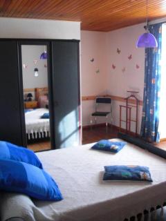 La treille a la teissonniere - 5