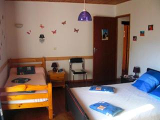 La treille a la teissonniere - 3