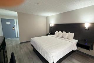 Ramada by Wyndham New Kensington - 8