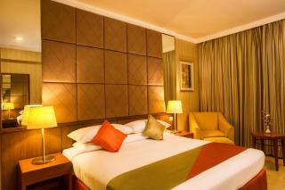 Ellaa Hotel Gachibowli - Hyderabad - 9