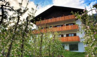 Pension Thalerhof - Rifiano - 4