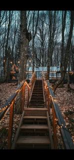 Montebello Chalet - 2