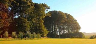 L'Echo de la nature - 5