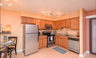 Urban Oasis near Hyde Park, Walkable to Downtown - 7