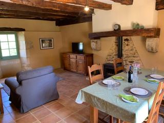 Au Coin des Arbres - Palmier - 1