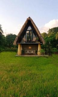 Mango Liyadda Villa - 0