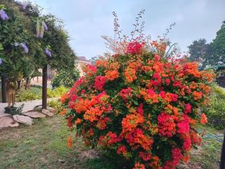 TRANQUILITY Resort - 1