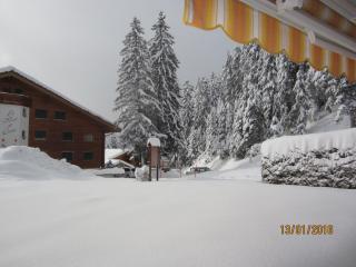 New Forest A3 - Crans-Montana - 9