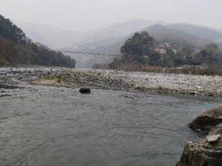 DSD Bomzon Homestay - 5