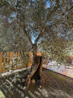 Casa Iris - 2