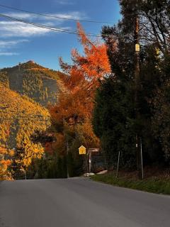 PH Con jardín a paso del Cerro Otto - 9