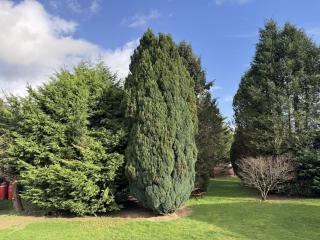 Lodge 18 - Caer Beris Park - 5