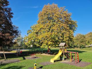 Vintage apartment Erjavec - 2