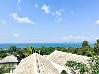Hillside Infinity Pool 3BR Villa with Sunset Views - 7