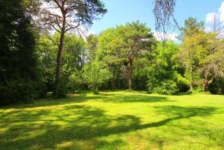 Domaine La Symphonie de la Forêt - 7