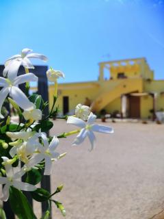 TeNuTa Li Frasulli - 6