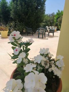 TeNuTa Li Frasulli - 1