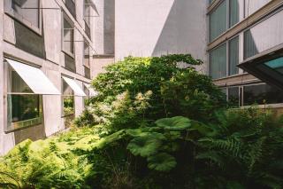 Nomad Design & Lifestyle Hotel - Member of Design Hotels - Basilea - 5