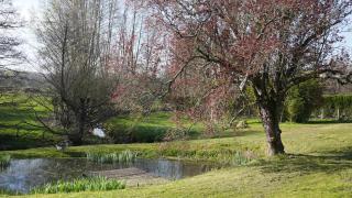 Chalet cosy 4pers Rivière Animaux 25min du Mans - 6