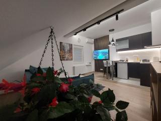 Oaza Apartmani ZEVS - 6