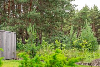 Cozy Spot apartments in Kunigiškiai - 3
