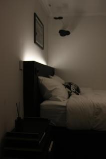 New 종로대형8인 가족 친구 최적 벚꽃축제 광화문 경복궁 청계천 - 7