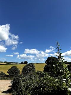 Wayeview Cottage on working Devon farm - 1