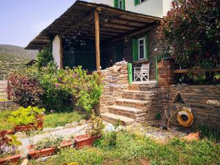 Zenios Andros-Cycladic house overlooking Batsi bay - Batsi - 3