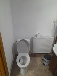 Pensiunea Costesti - 7