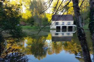 Gîte Nid dans la Forêt - 6
