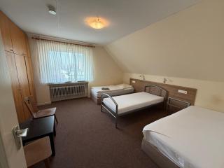 Hotel Restaurant Zum Schwan - 2