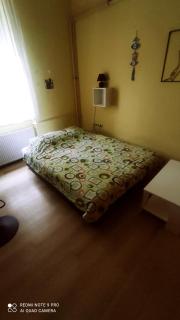 Centar Apartman Trivanović sa velikom i malom sobom - 4