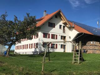 Ferienwohnung Merk - 0