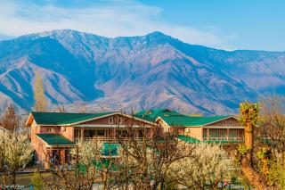The Orchard Retreat & Spa - 8