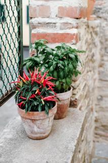 historical townhome in Poppi - 3