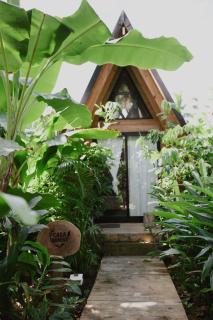 Leisy's Garden Cabins & Dorm - 2