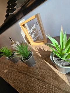 Casa Rosa1 2BR in BGC 5th Ave wifi 300 mbps 5 pax - 8