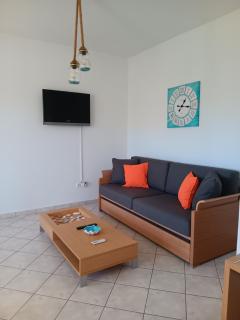 Naxos olive & home - 3