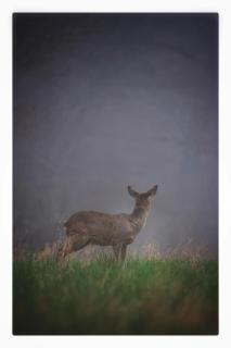 L'atelier des rêves - 5