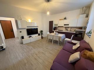 Gerenzone Bridge - 4