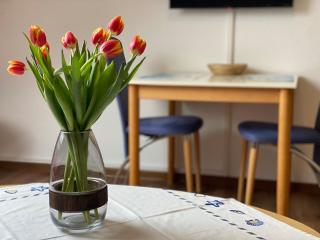 Haus Daubert Wohnung 3 - Norderney - 5